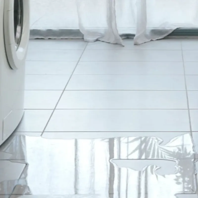 Appliance Leak Cleanup in Caldwell, TX