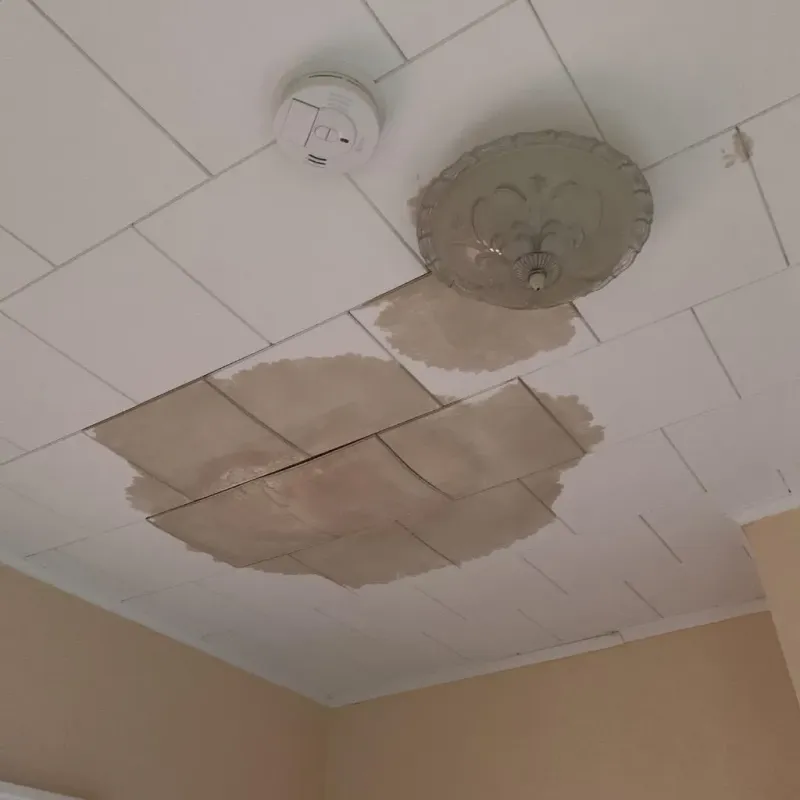 Ceiling Water Damage Repair in Caldwell, TX