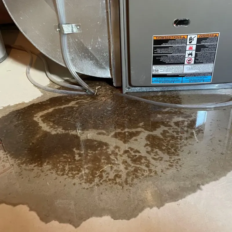 Pipe Burst and Leak Restoration in Caldwell, TX