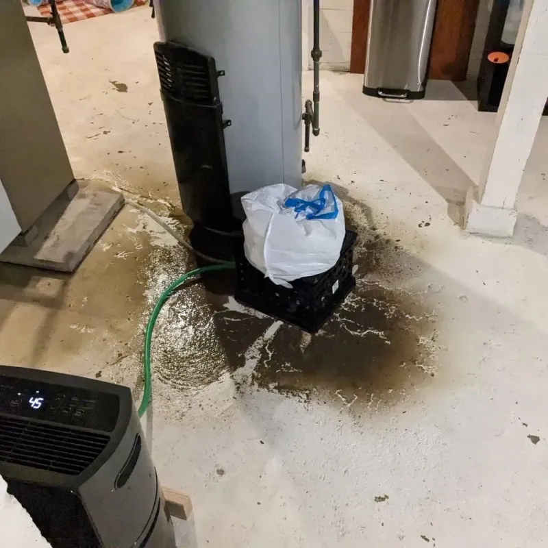 Sewage Backup Cleanup Service in Caldwell, TX